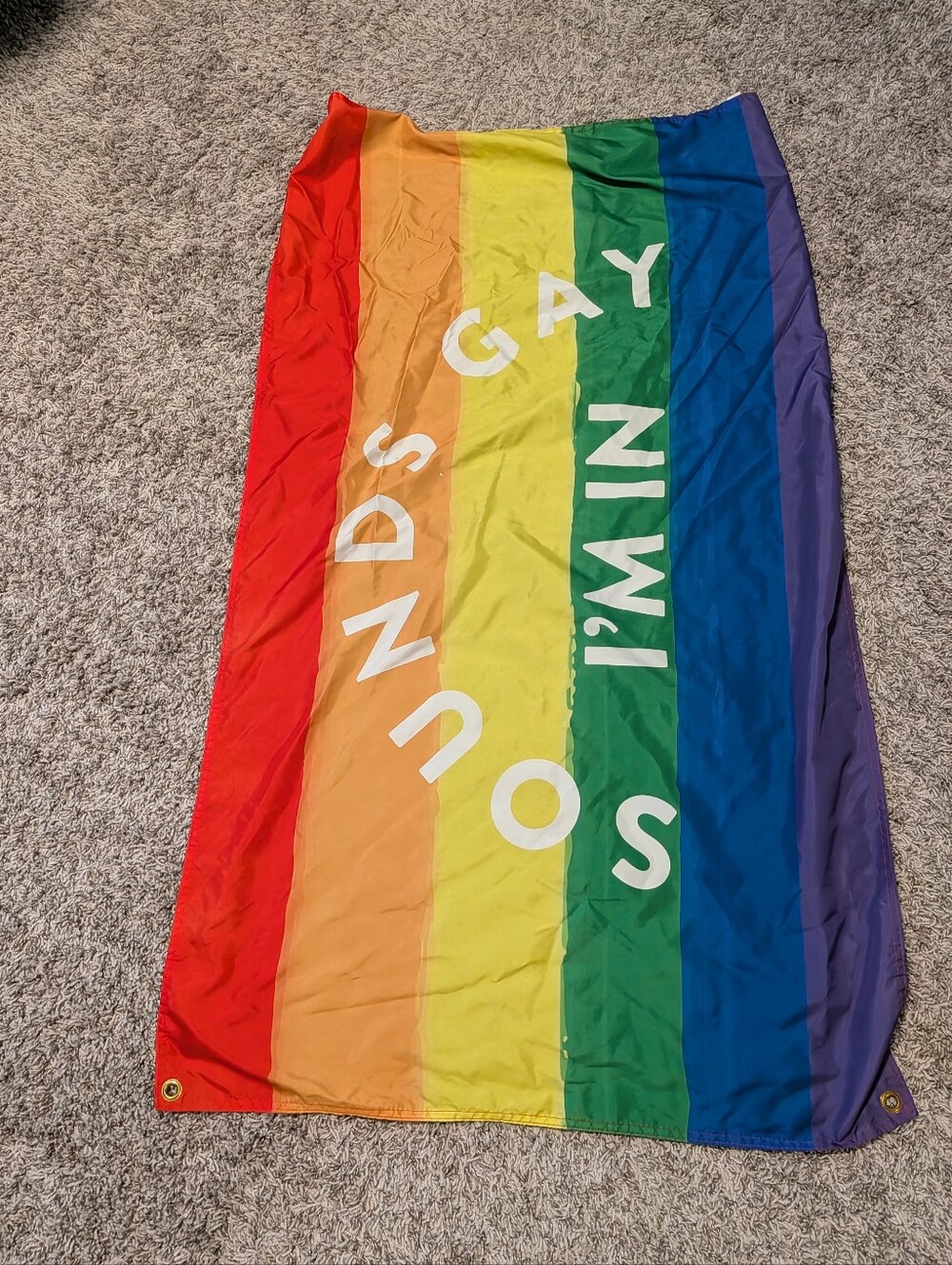 rainbow-colored Pride flag featuring the white text "Sounds Gay I'm In".It is de